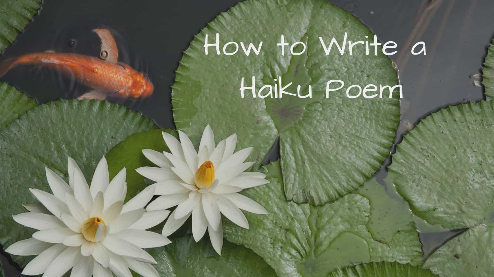 what is literature haiku